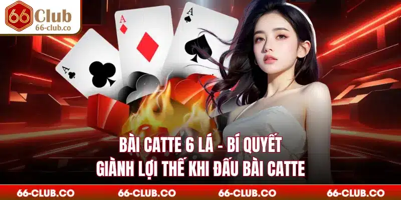 Bài Catte 6 Lá - Bí Quyết Giành Lợi Thế Khi Đấu Bài Catte