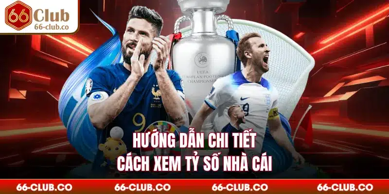 Hướng dẫn chi tiết cách xem tỷ số nhà cái