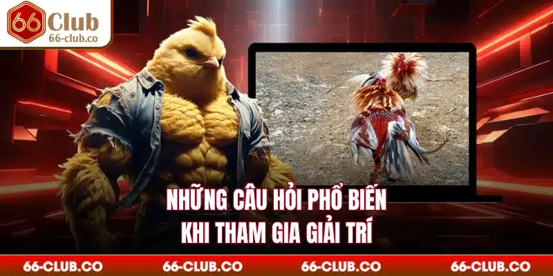 Những câu hỏi phổ biến khi tham gia giải trí