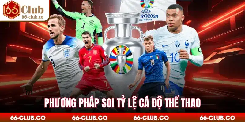 Phương pháp soi tỷ lệ cá độ thể thao