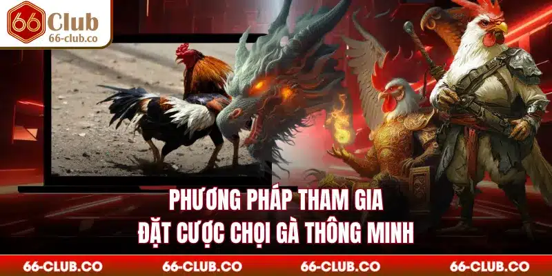 Phương pháp tham gia đặt cược chọi gà thông minh